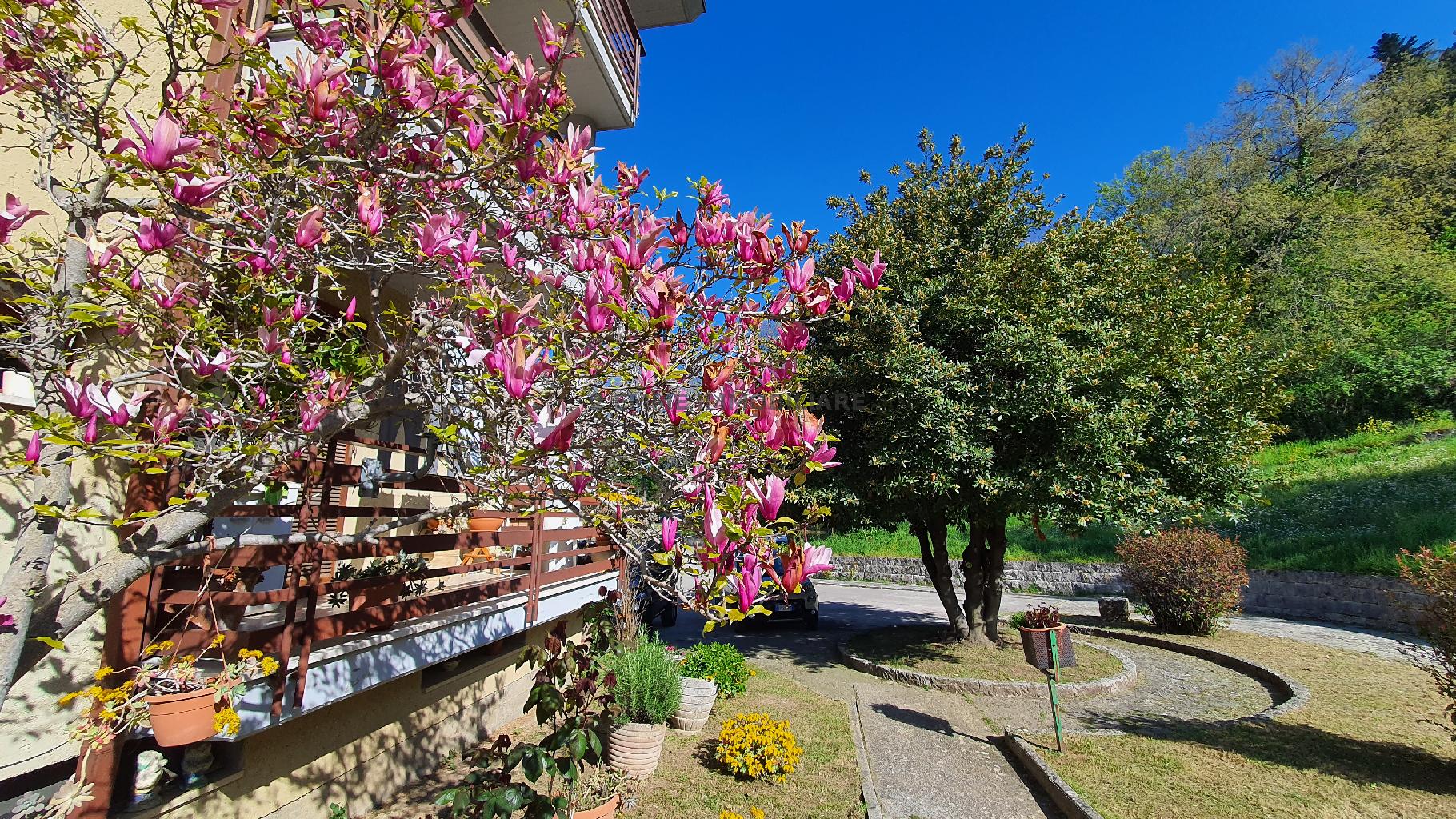 Appartamento con giardino in via piagge 318/a, Ascoli Piceno