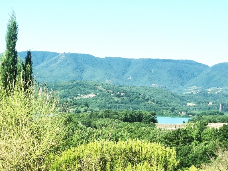 immagine annuncio 4 di 6