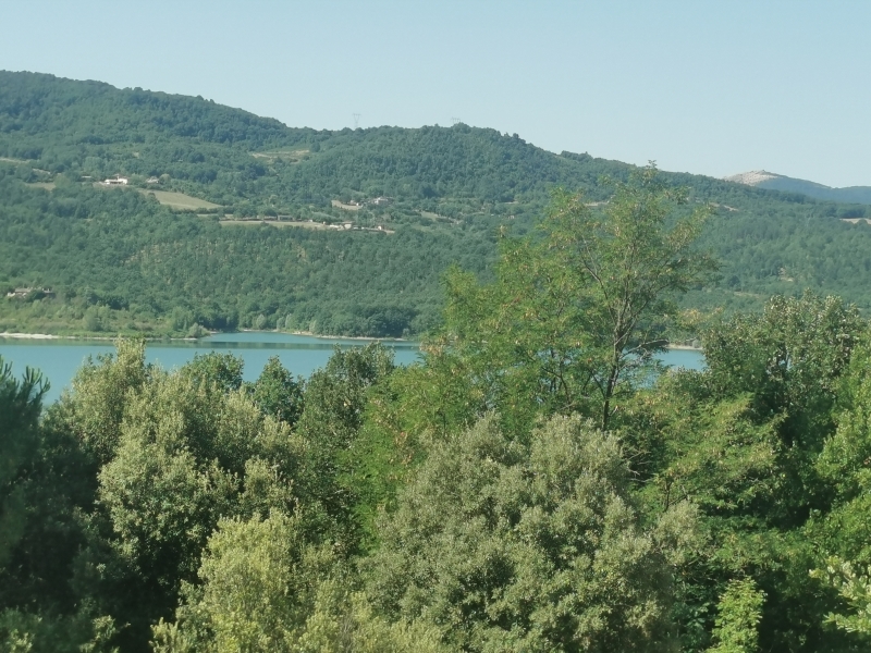 immagine annuncio 5 di 6