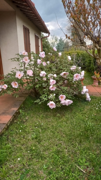 Villa con giardino a Borgo San Lorenzo