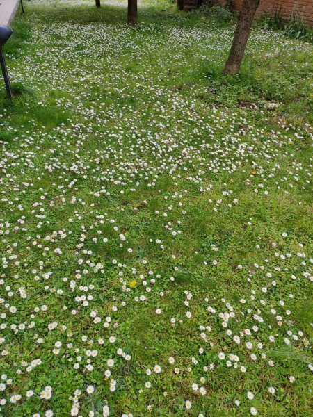 Terreno in vendita a Vicchio