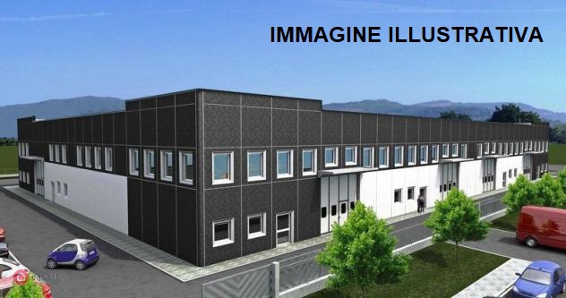 immagine annuncio 2 di 9