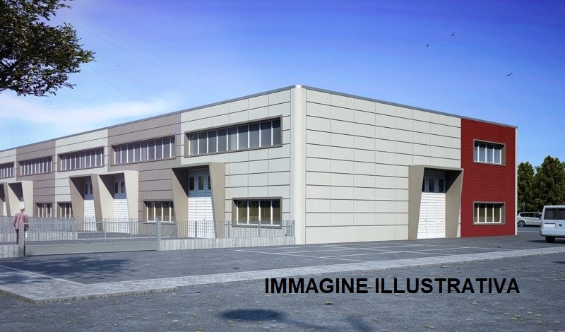 immagine annuncio 2 di 7