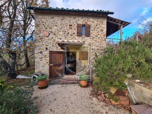 Rustico con giardino a Chiusdino