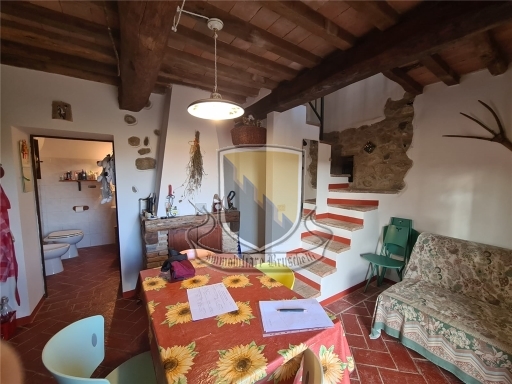 Rustico con giardino a Chiusdino