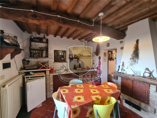 Rustico con giardino a Chiusdino