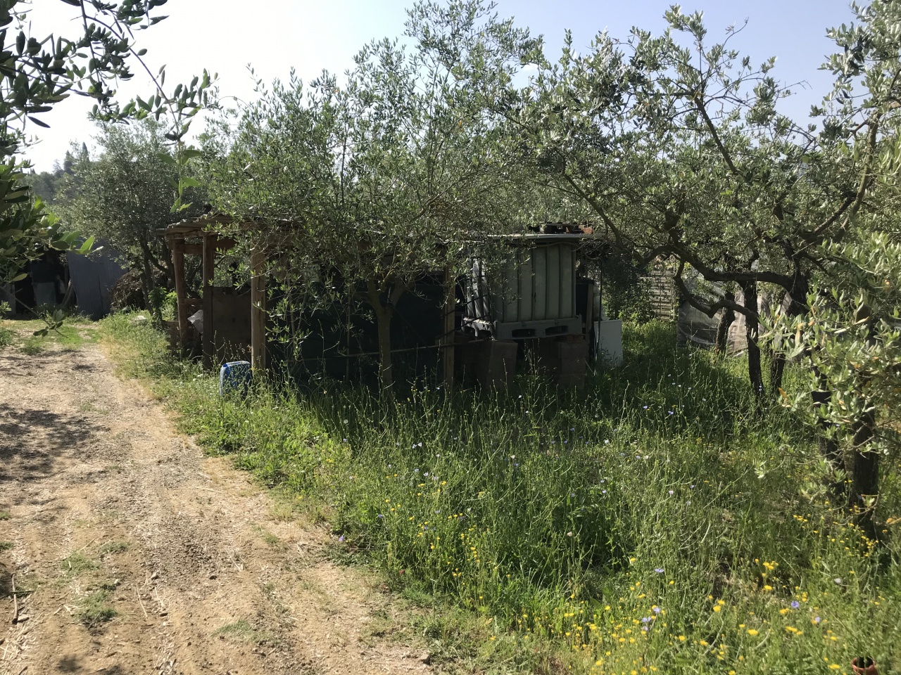 Terreno in vendita a Arezzo