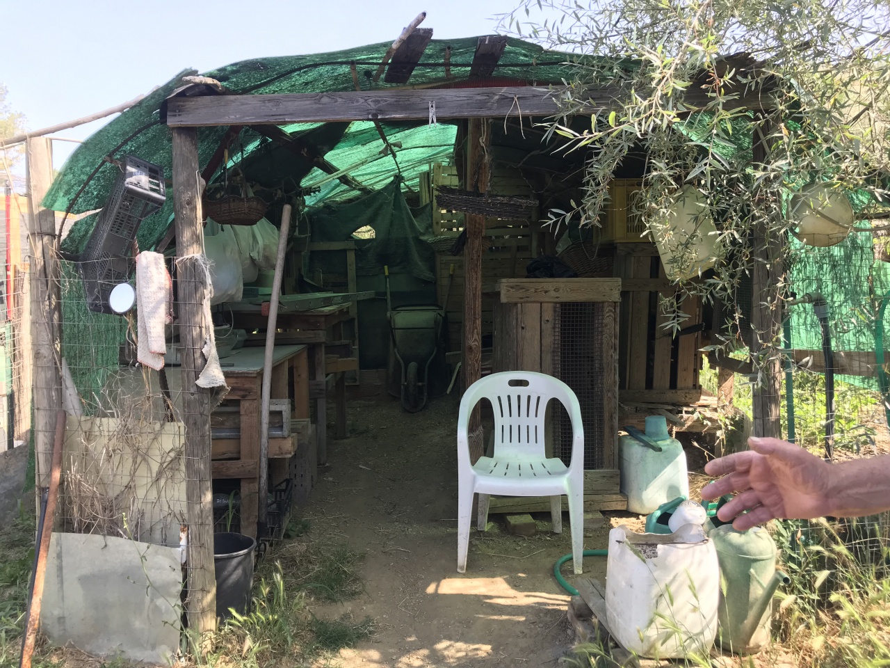 Terreno in vendita a Arezzo