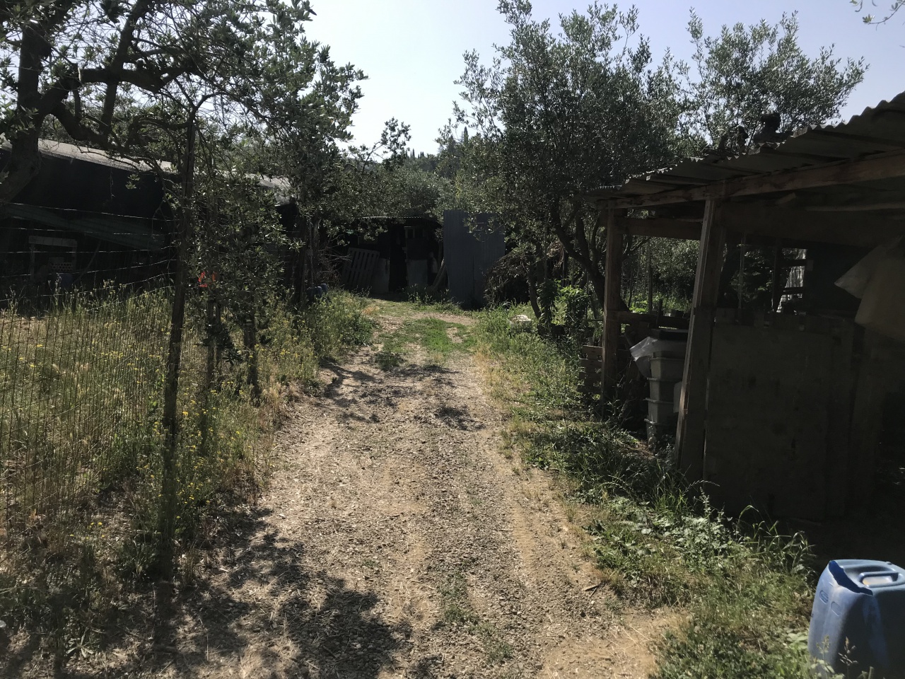 Terreno in vendita a Arezzo