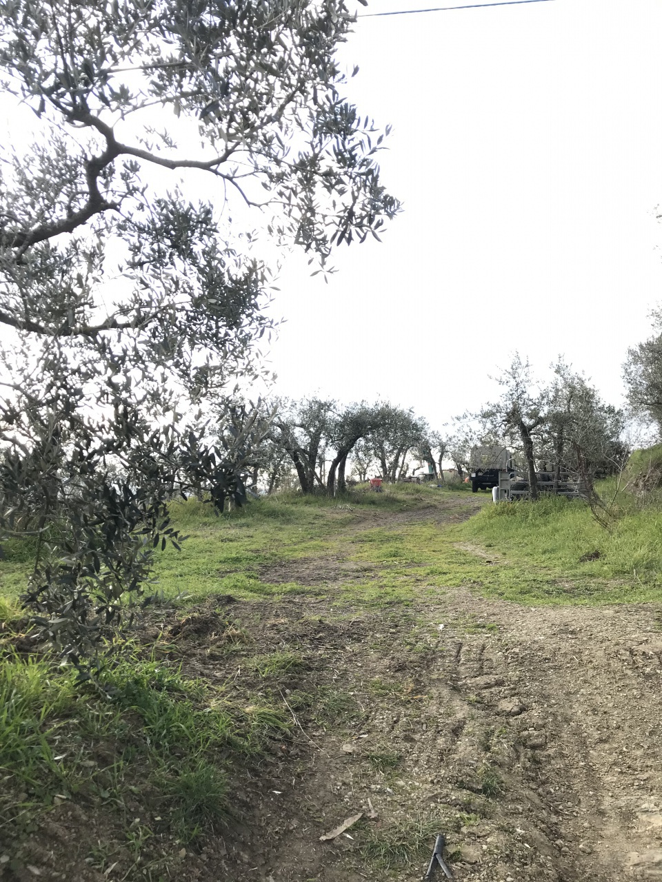 Terreno in vendita a Arezzo