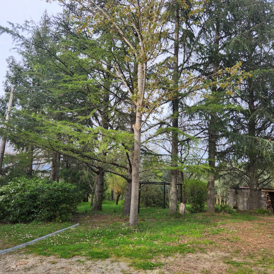 Casa indipendente con giardino a Monterchi