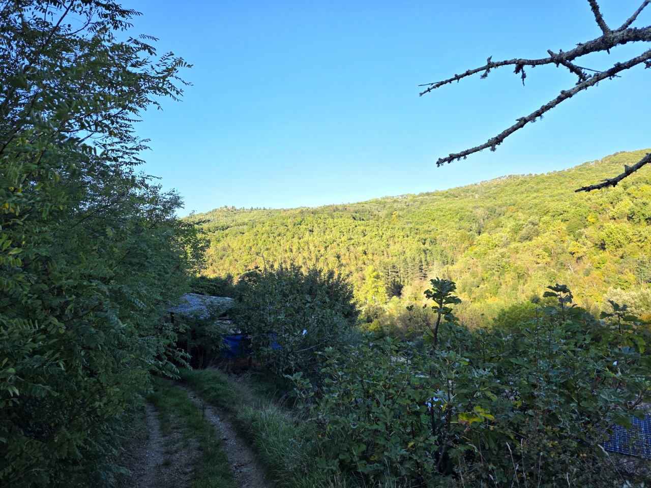 Casa indipendente con giardino a Arezzo