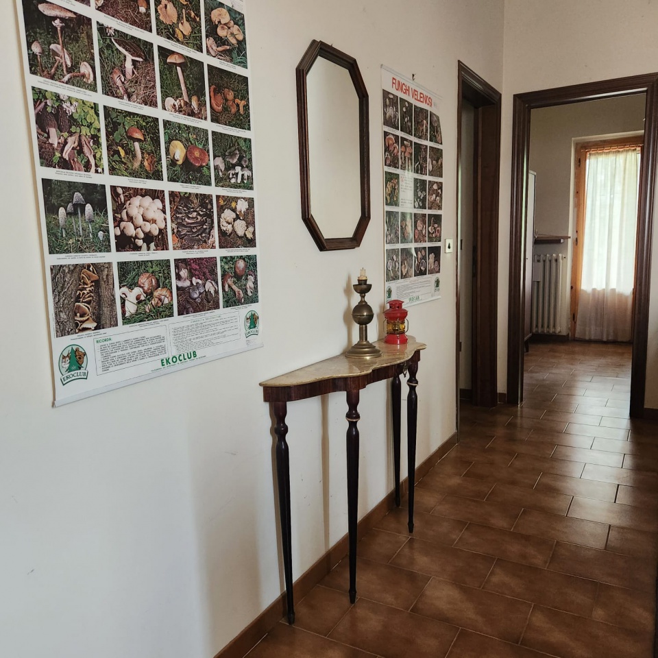 Casa indipendente con giardino a Monterchi