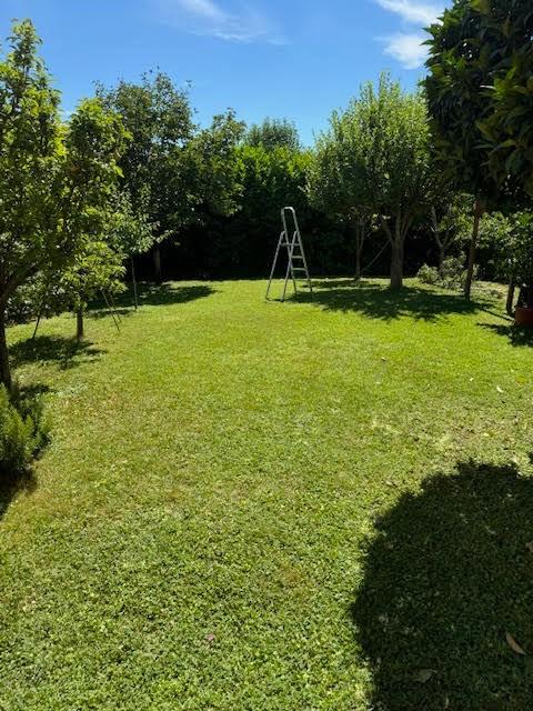 Villa Bifamiliare con giardino a Calci