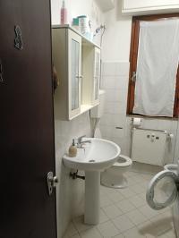 Quadrilocale arredato in affitto, Pisa porta a lucca