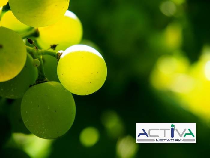 Attivit� commerciale in vendita a Castiglione Torinese