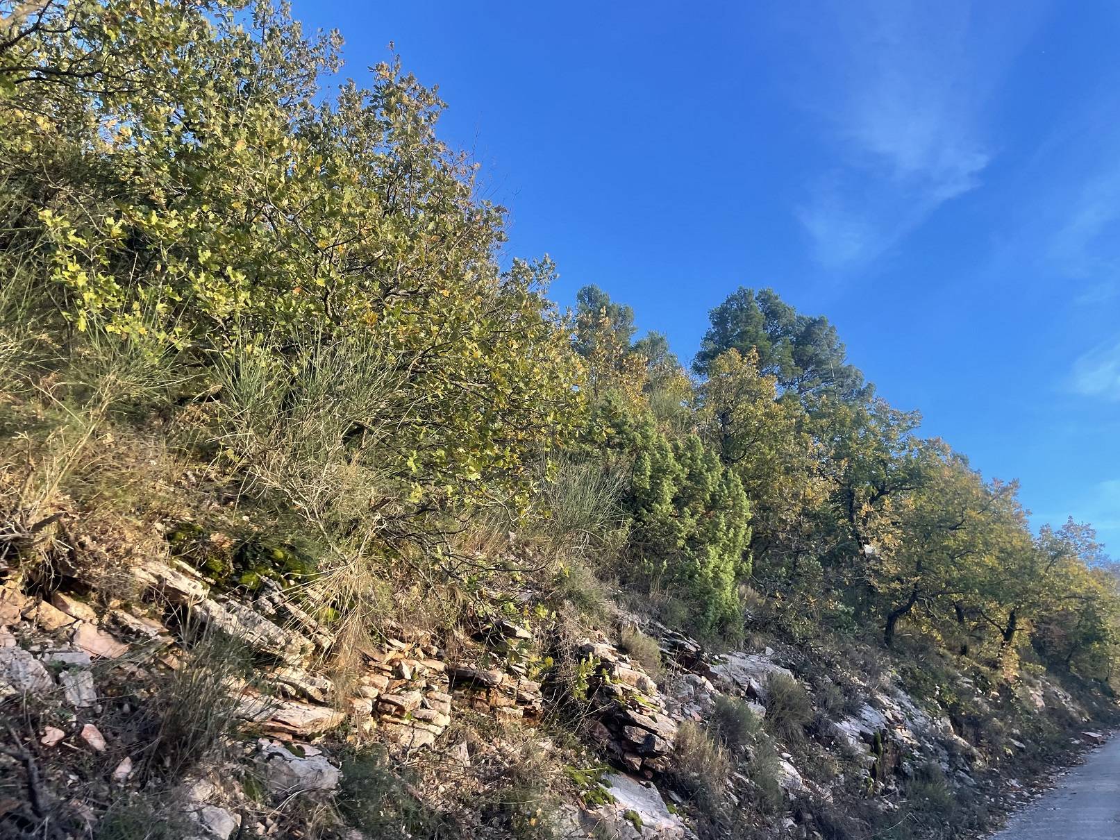 Terreno agricolo in vendita a Spoleto