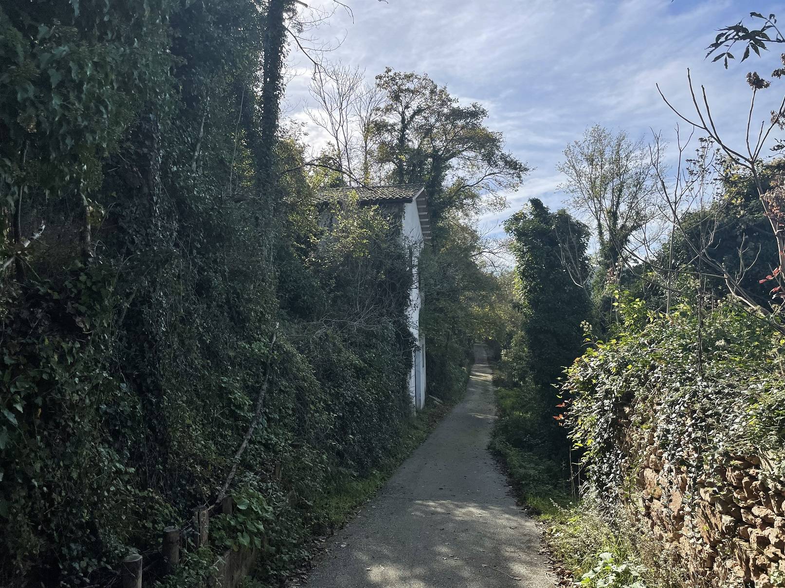 Rustico/Casale/Corte in vendita a Cerreto di Spoleto, Cerreto di Spoleto