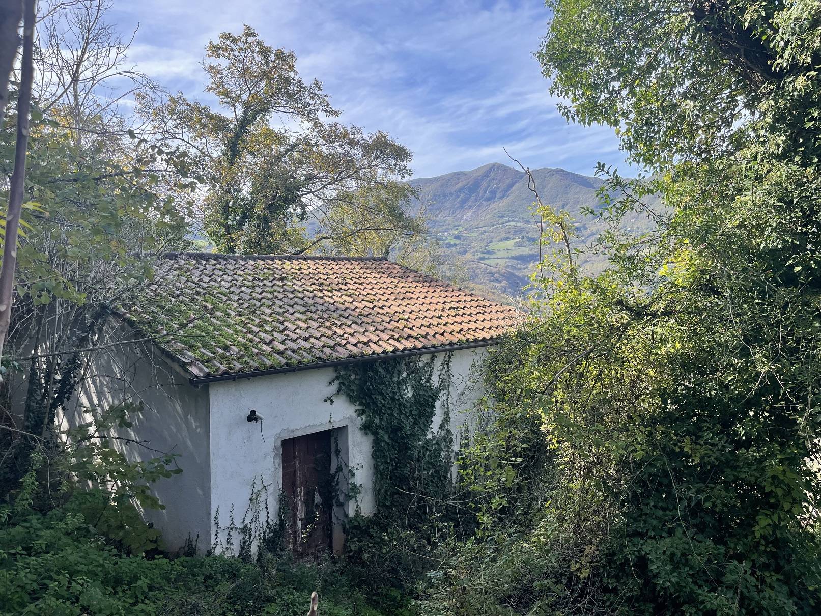 Rustico/Casale/Corte in vendita a Cerreto di Spoleto, Cerreto di Spoleto