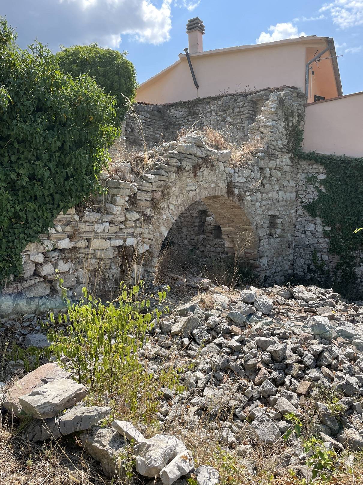 immagine annuncio 3 di 6