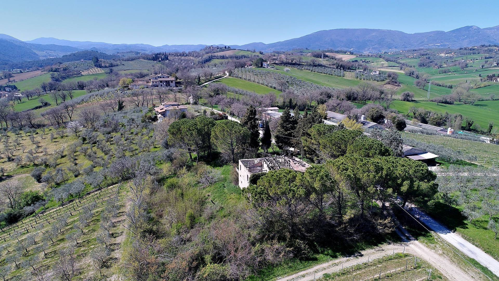 Rustico/Casale/Corte in vendita a Spoleto