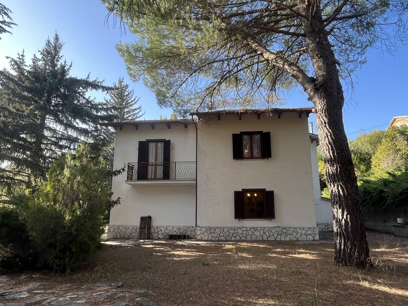 immagine annuncio 4 di 6