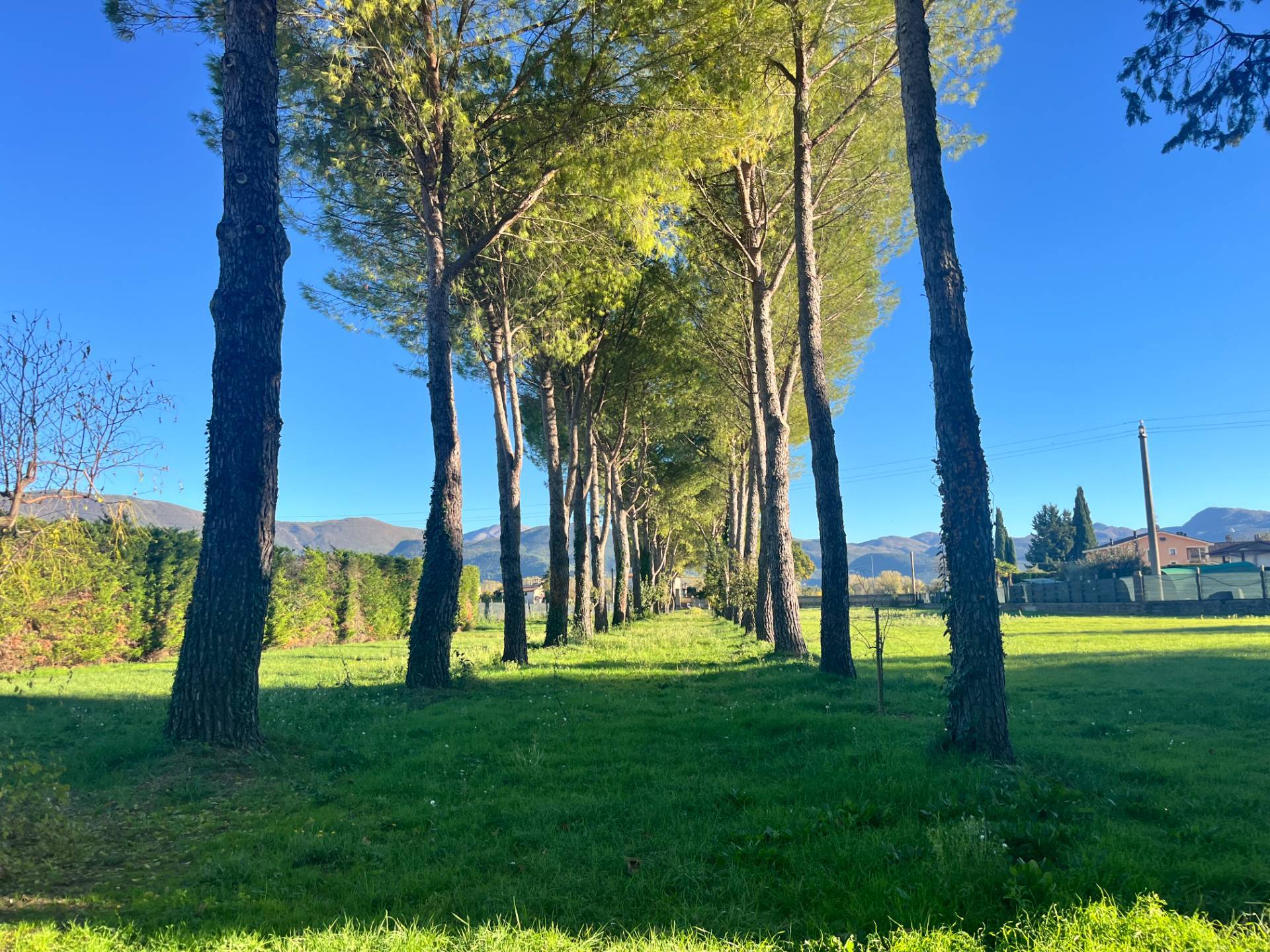 Terreno Edificabile in vendita a Spoleto
