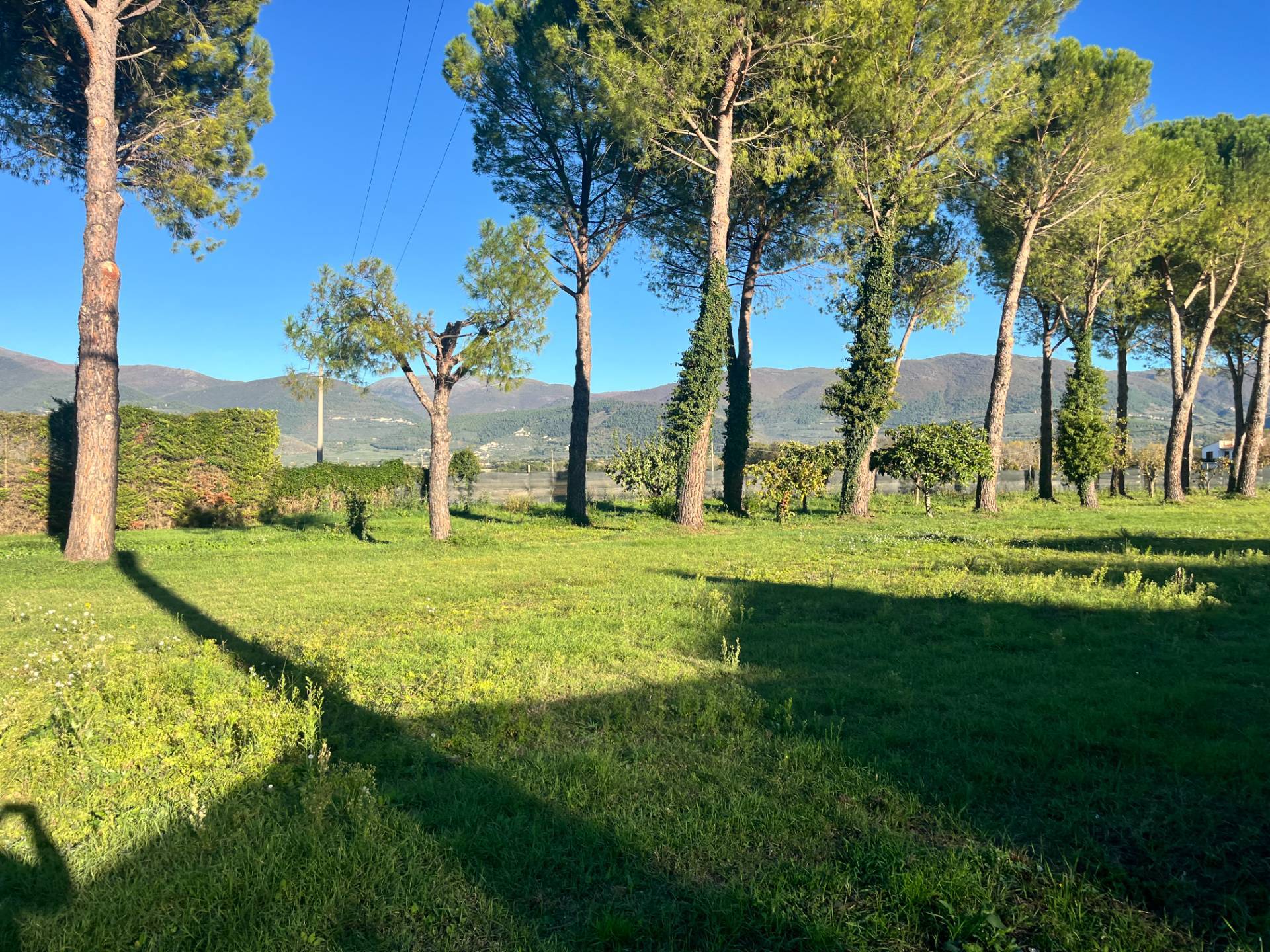Terreno Edificabile in vendita a Spoleto
