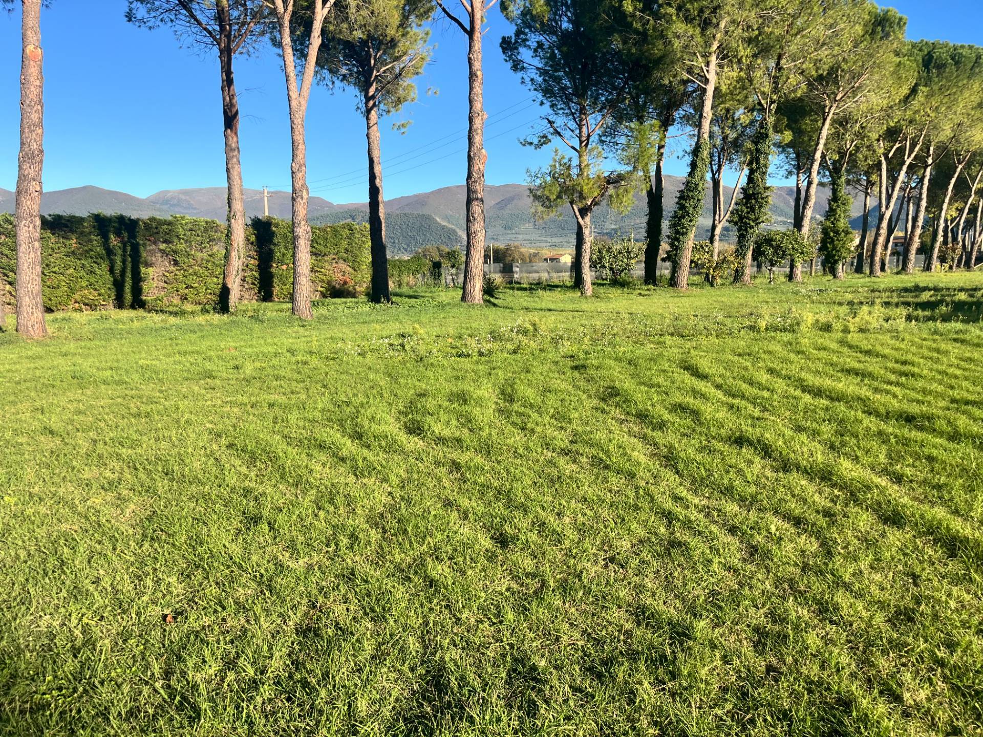 Terreno Edificabile in vendita a Spoleto