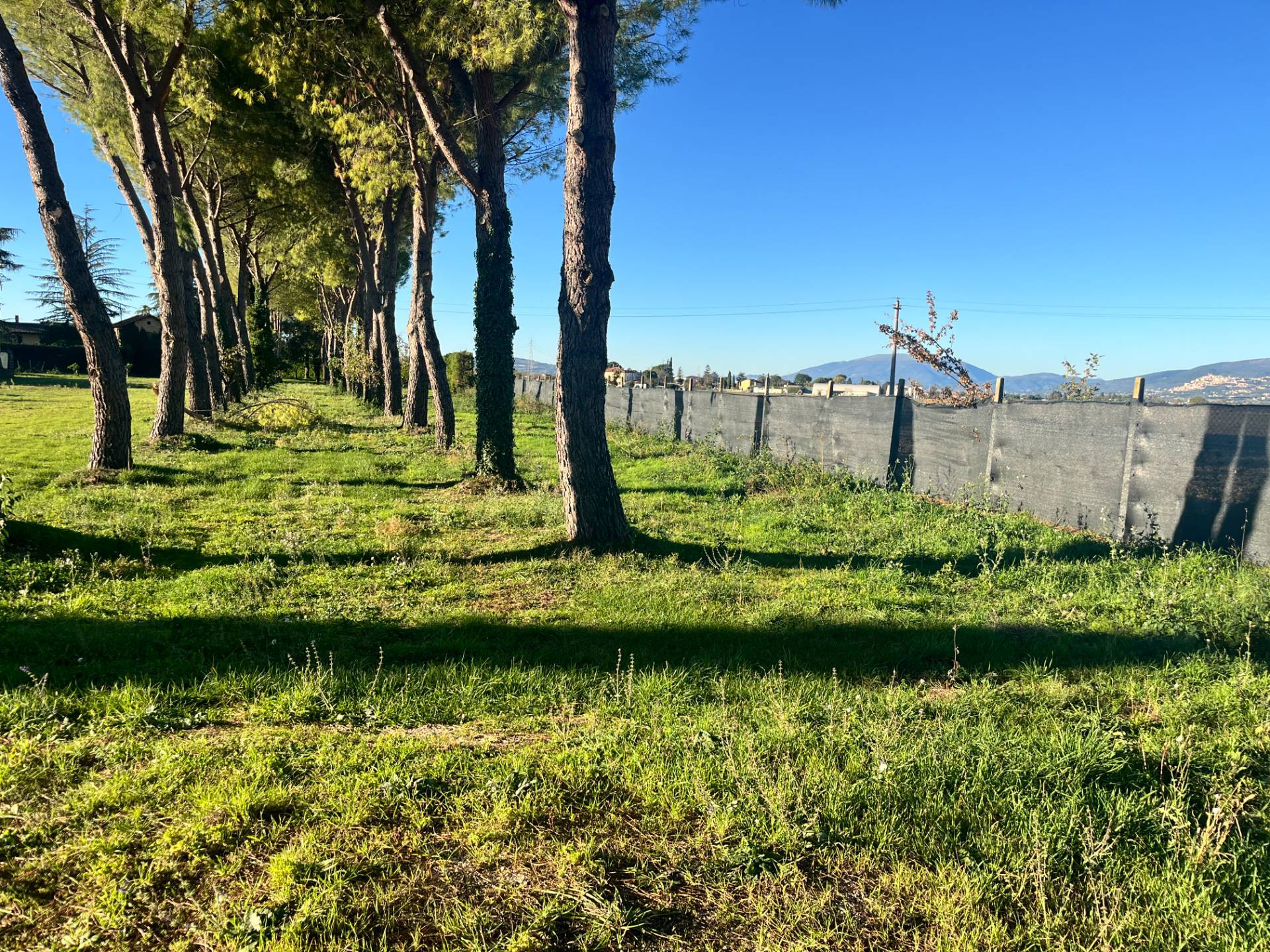 Terreno Edificabile in vendita a Spoleto