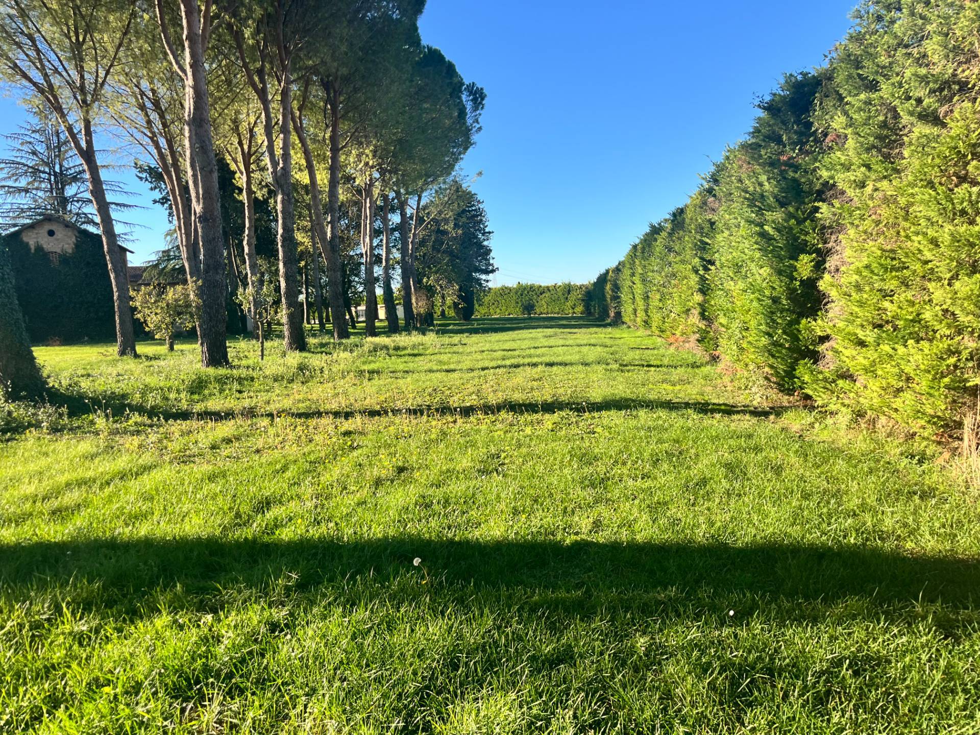 Terreno Edificabile in vendita a Spoleto