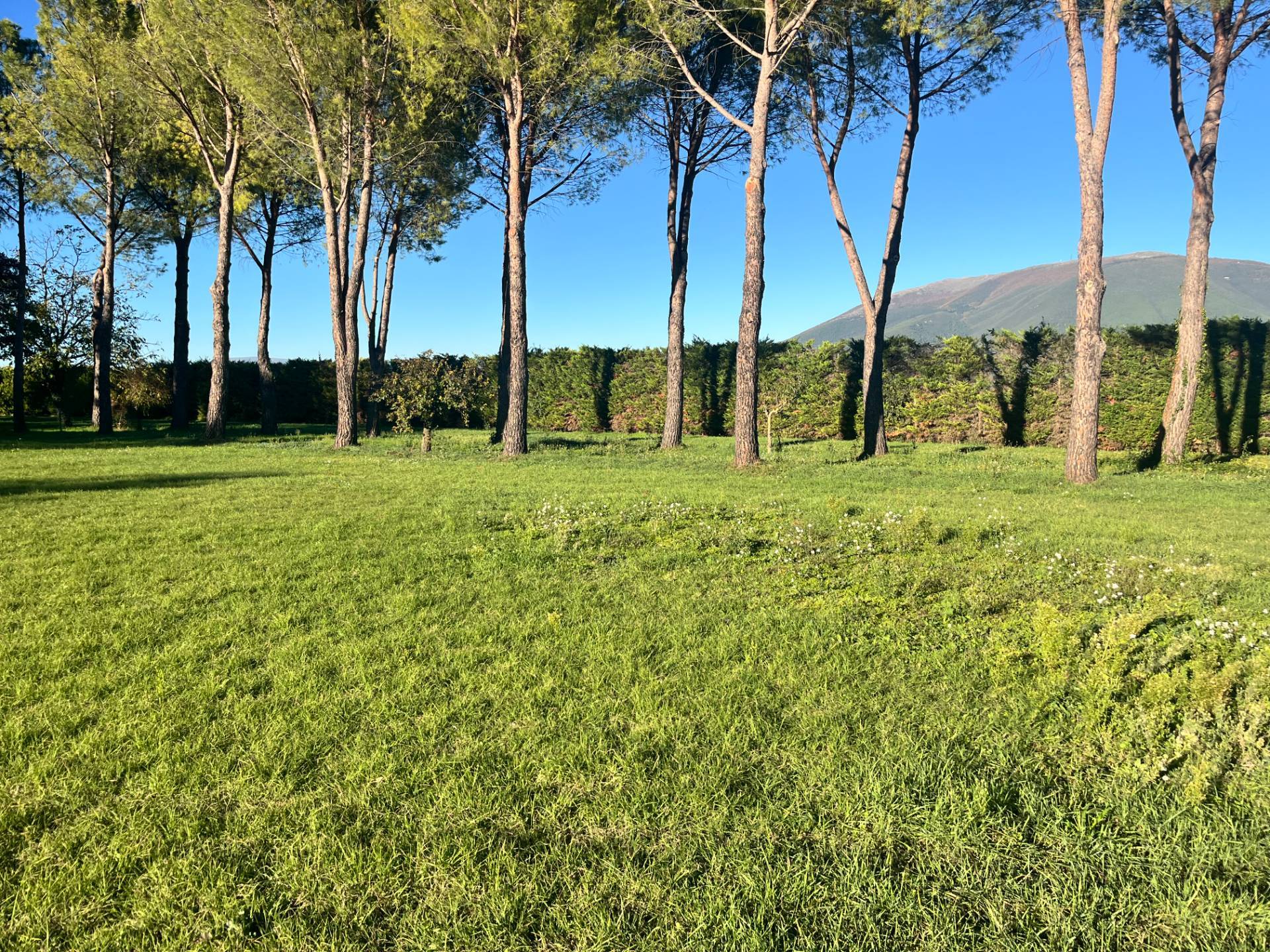 Terreno Edificabile in vendita a Spoleto