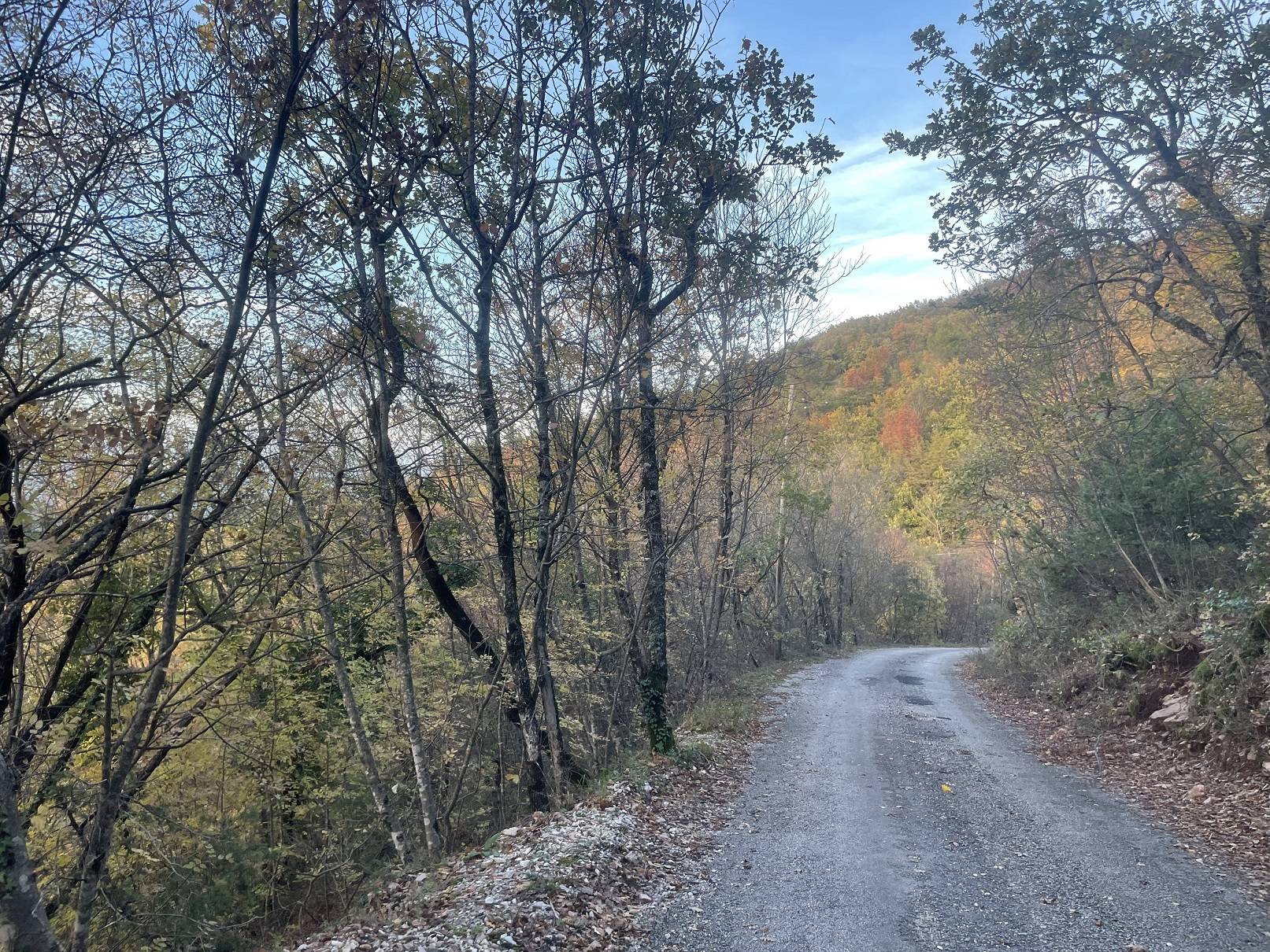 Terreno agricolo in vendita a Spoleto