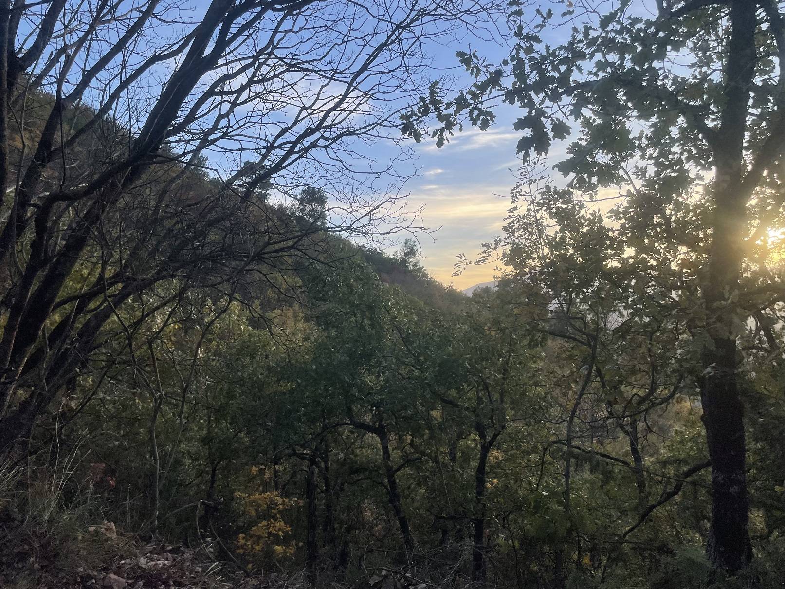 Terreno agricolo in vendita a Spoleto