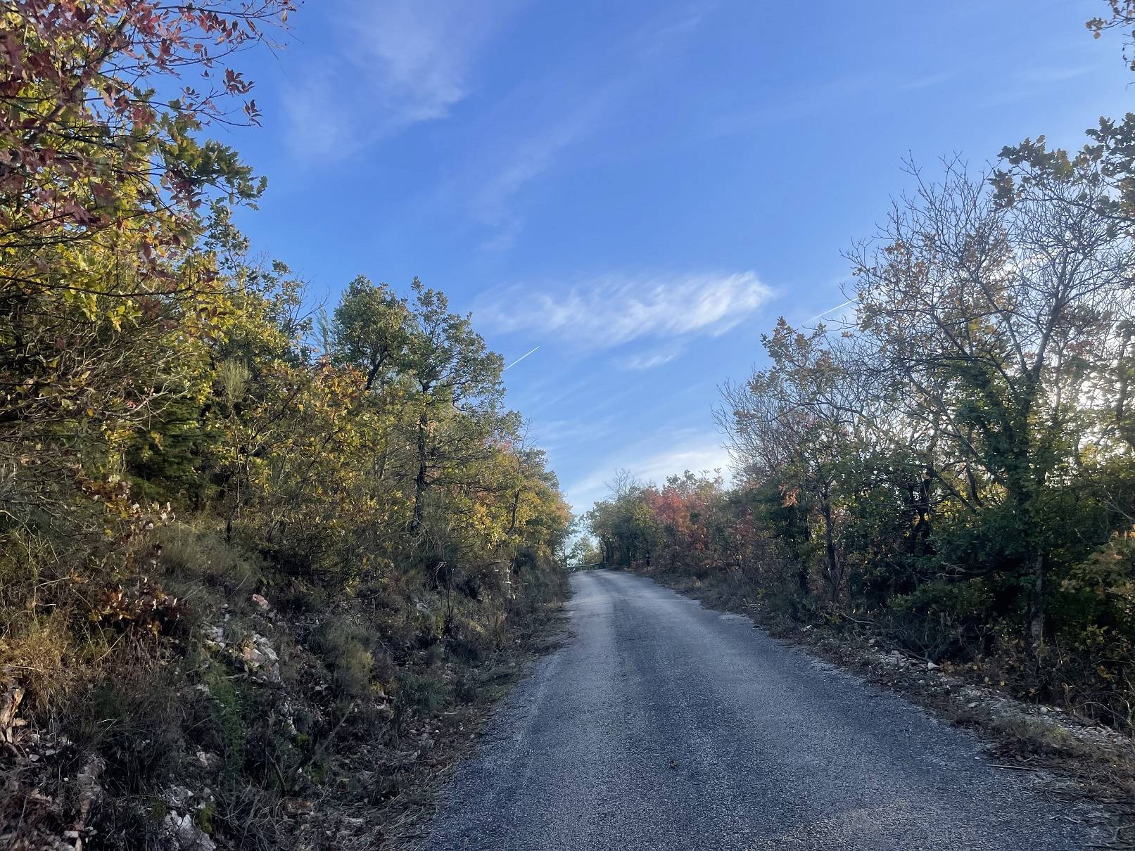Terreno agricolo in vendita a Spoleto