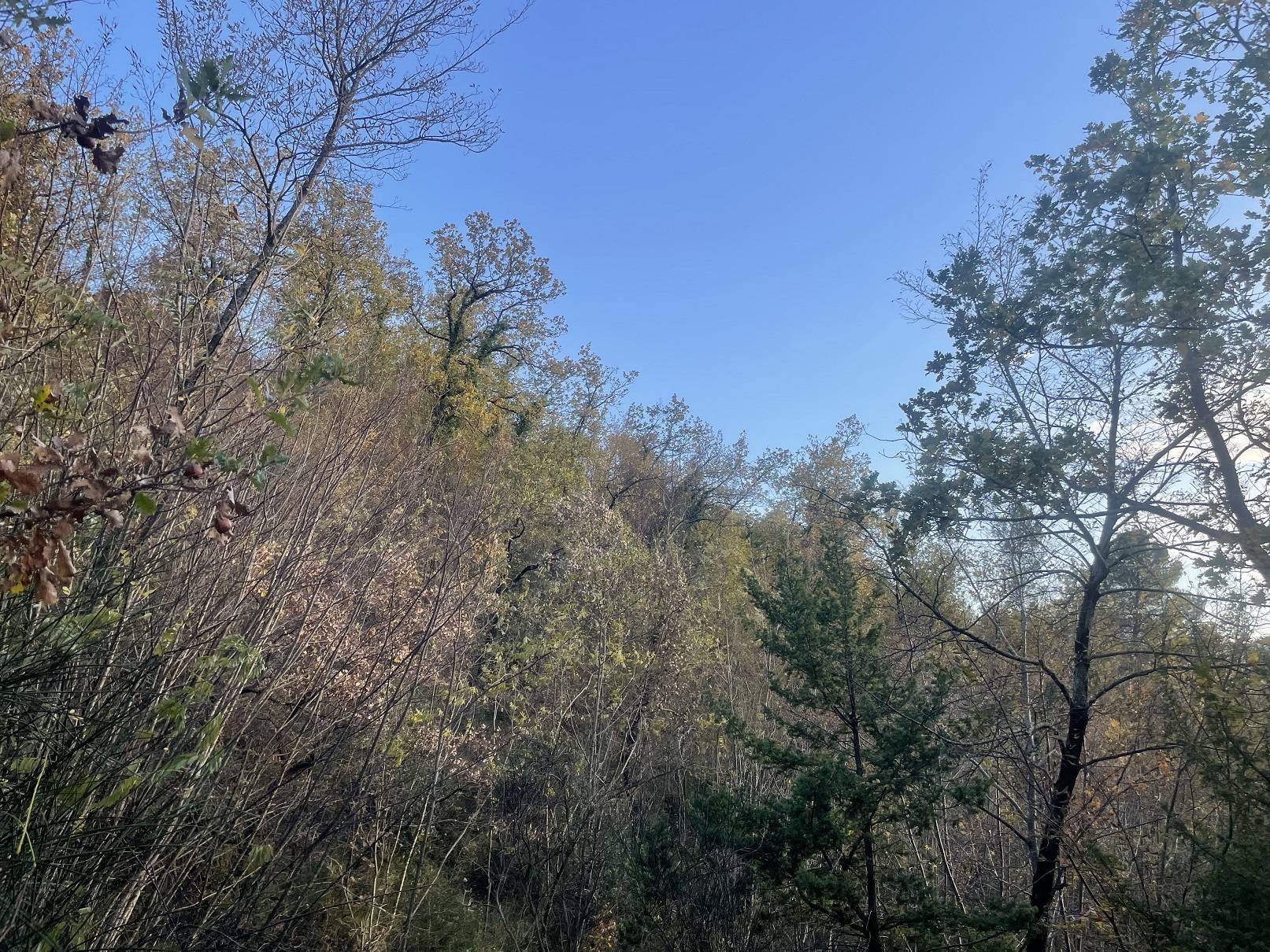 Terreno agricolo in vendita a Spoleto