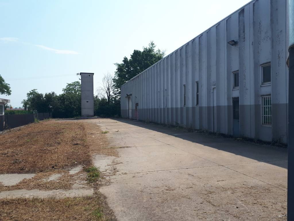 immagine annuncio 2 di 6
