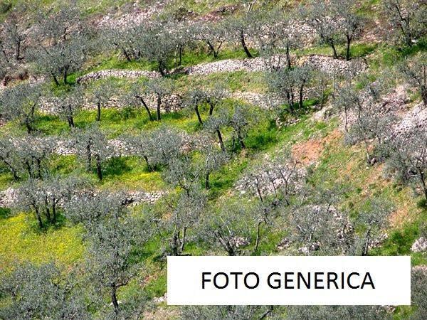 Terreno Agricolo in vendita, San Giuliano Terme agnano