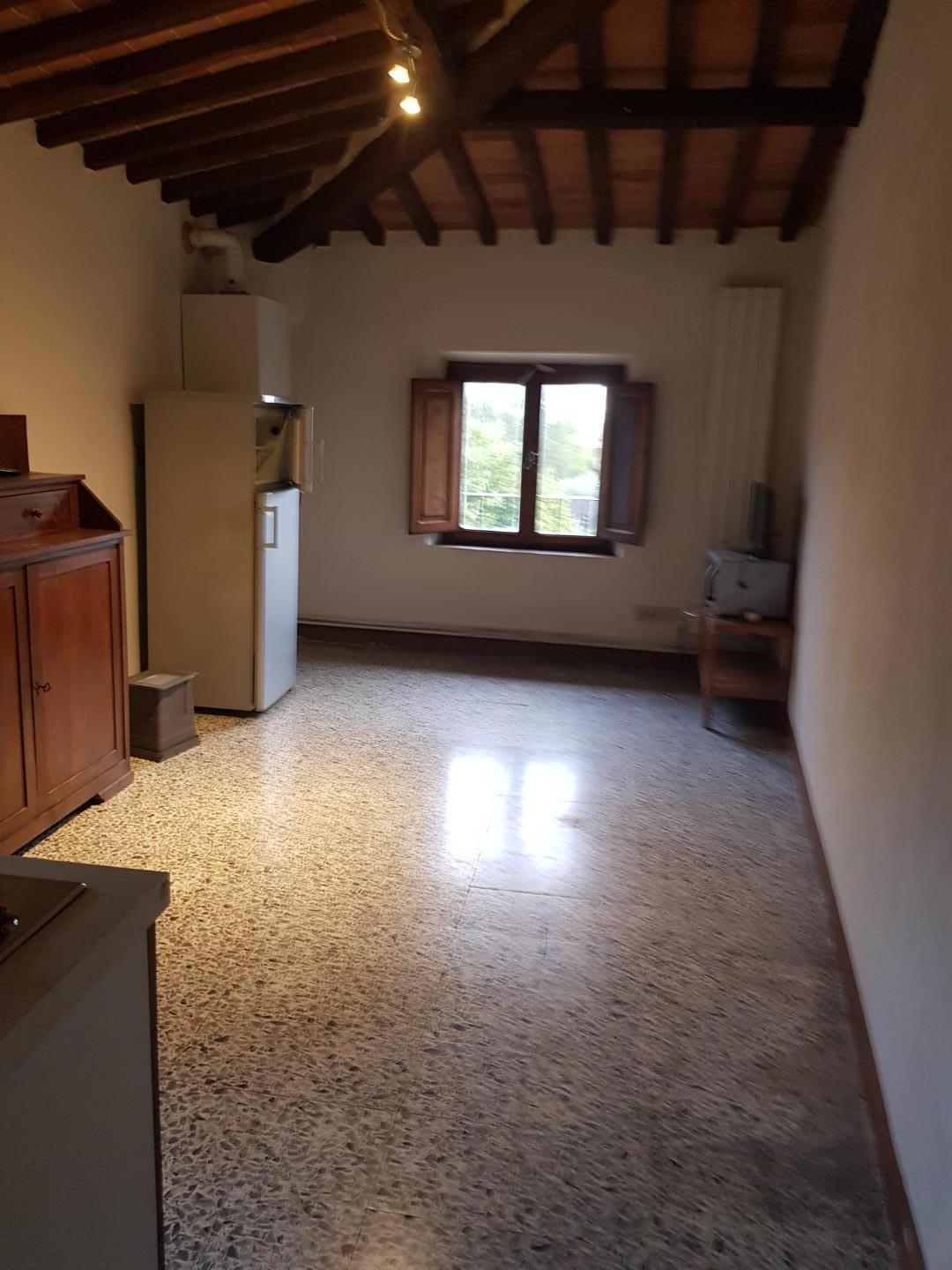 Trilocale in affitto a Calci