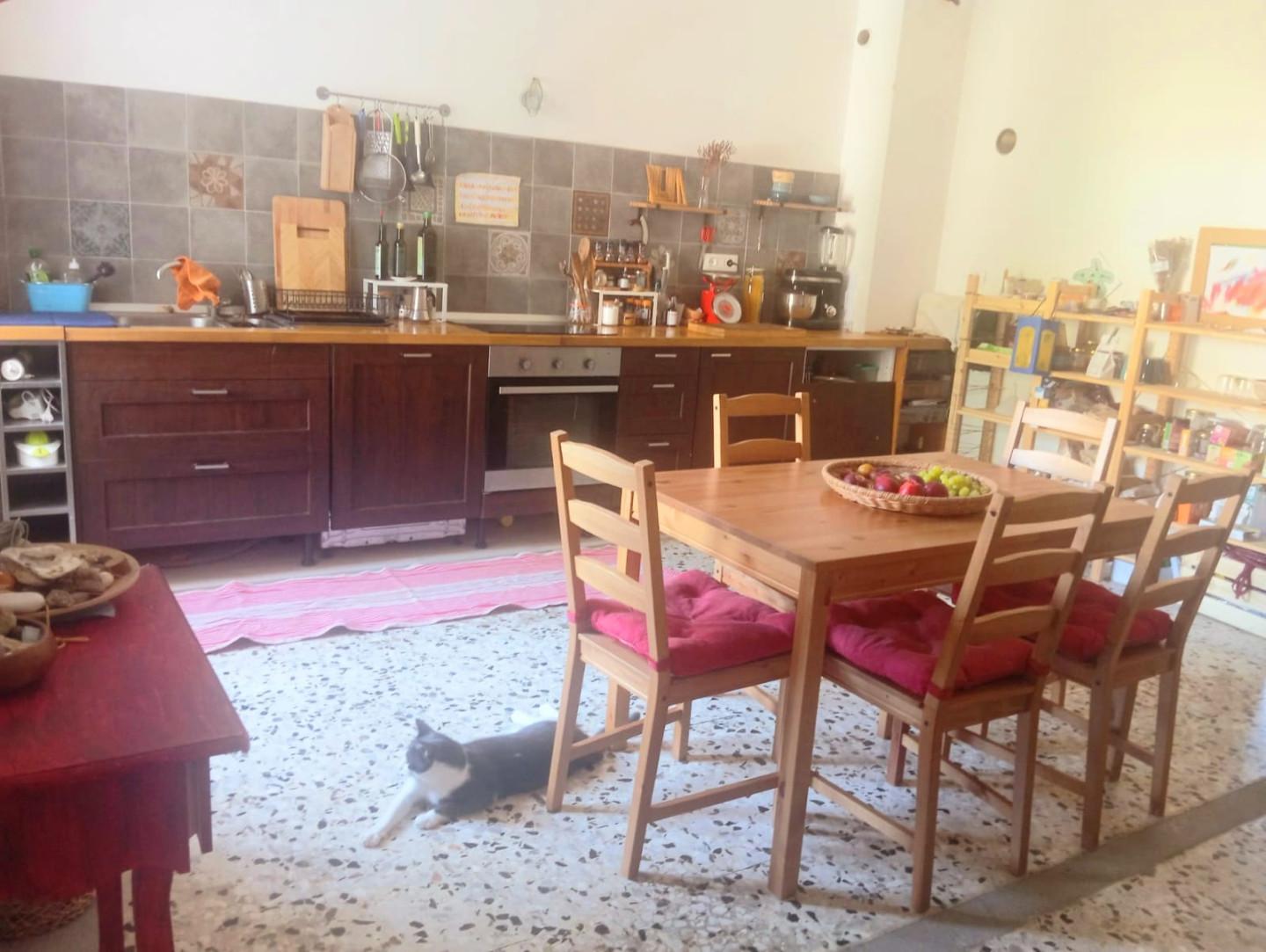 Quadrilocale in vendita a Calci