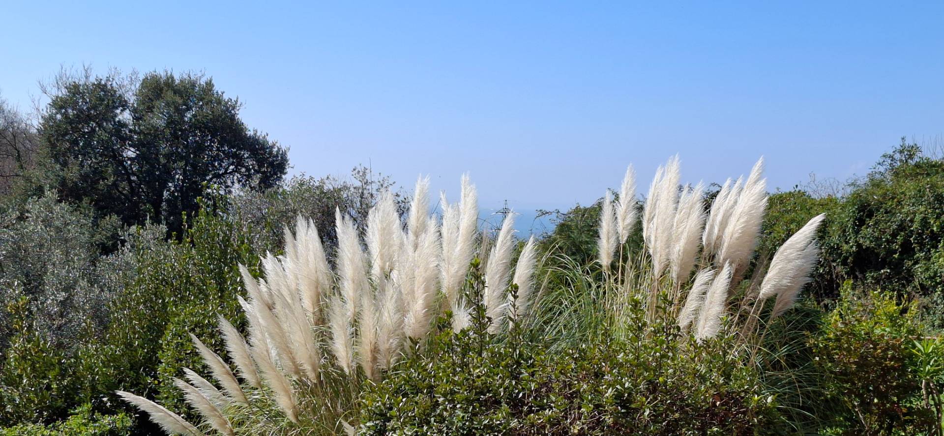 Appartamento in vendita a Genova, Oregina