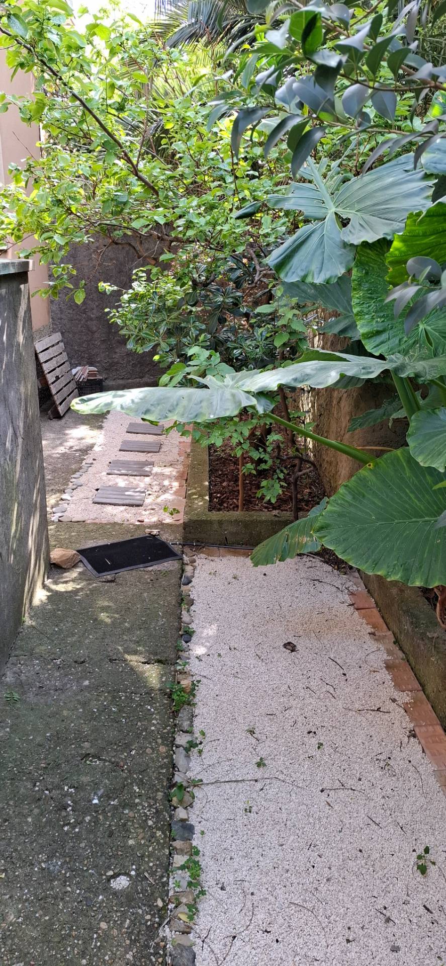 Appartamento in affitto a Genova, Sturla