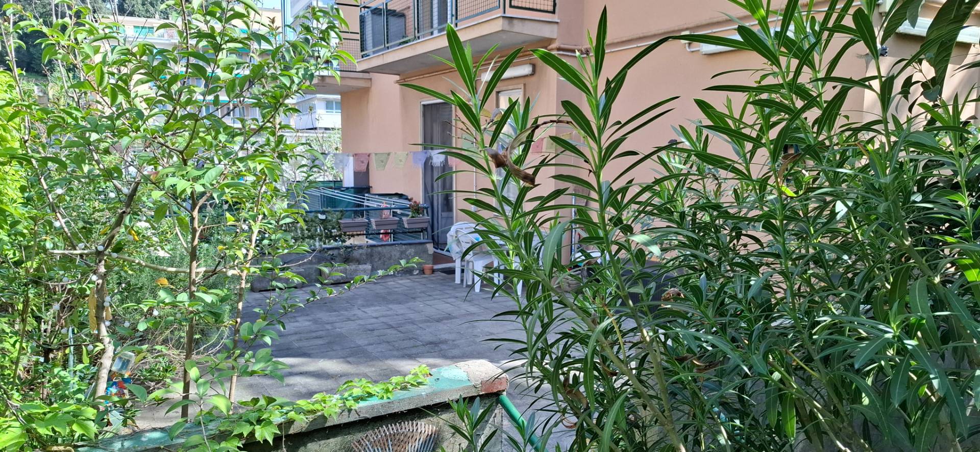 Appartamento in affitto a Genova, Sturla