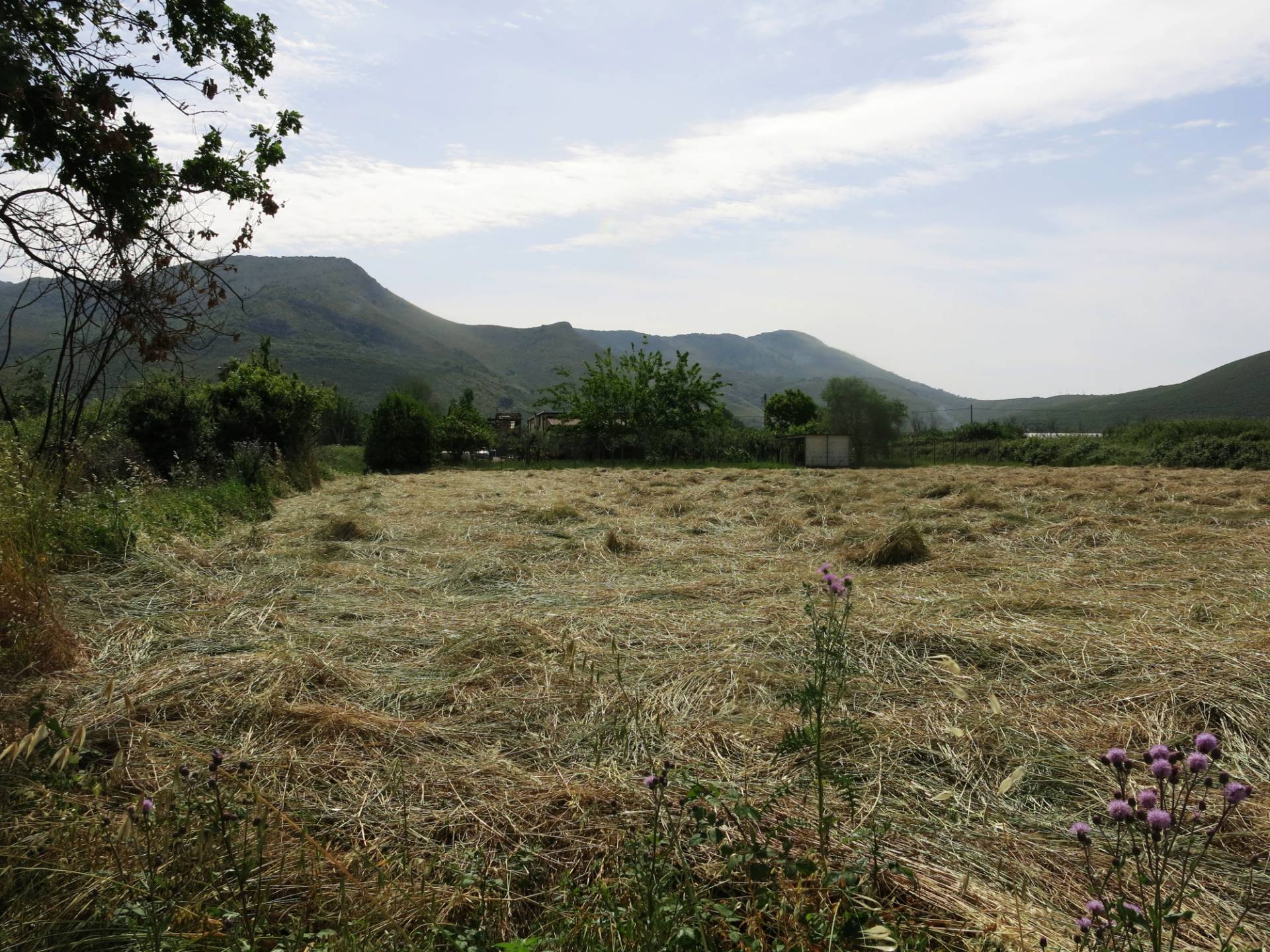 Terreno agricolo in vendita a Fondi, Semicentro