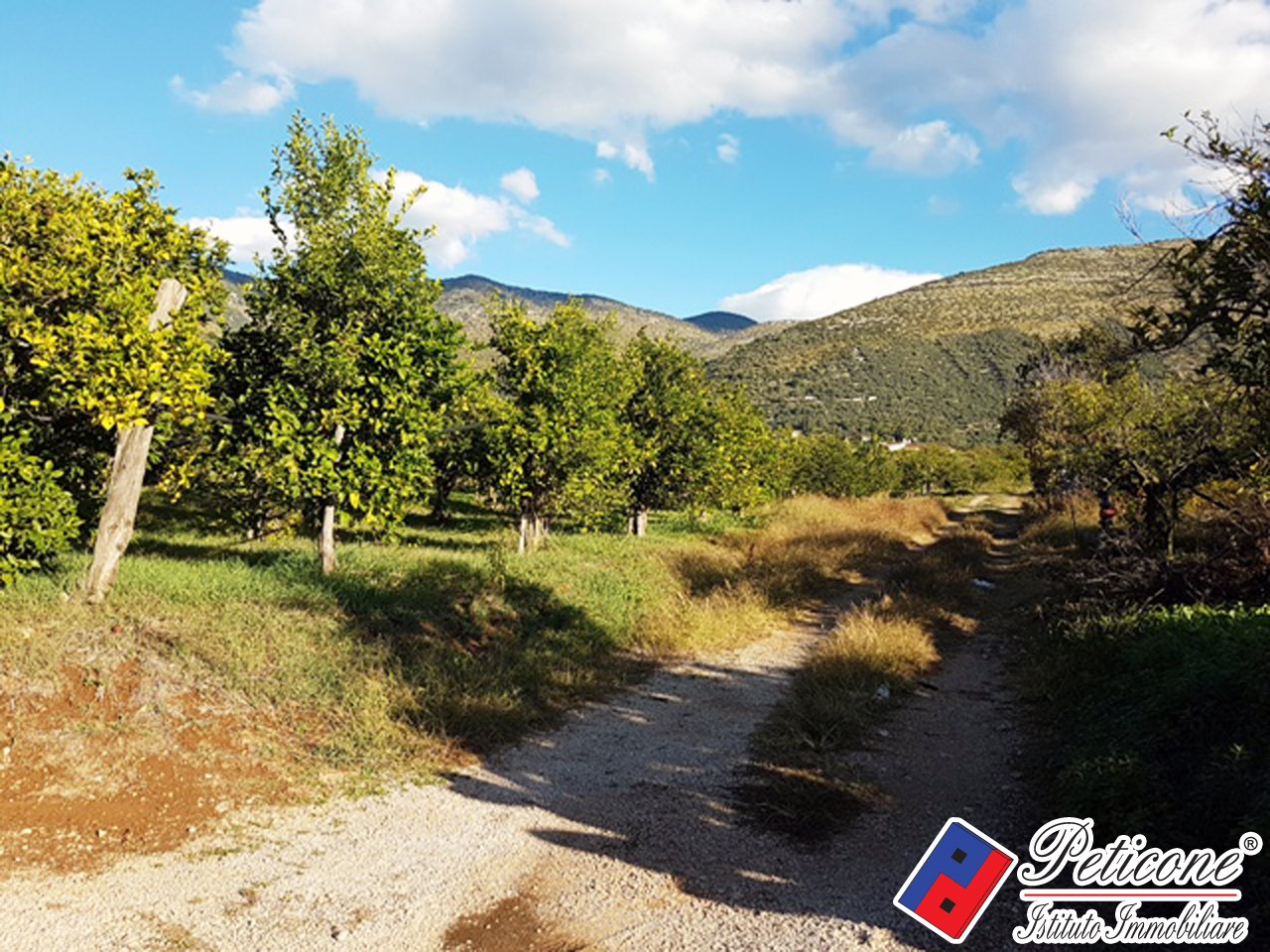 Terreno agricolo in vendita a Fondi, Madonna Degli Angeli