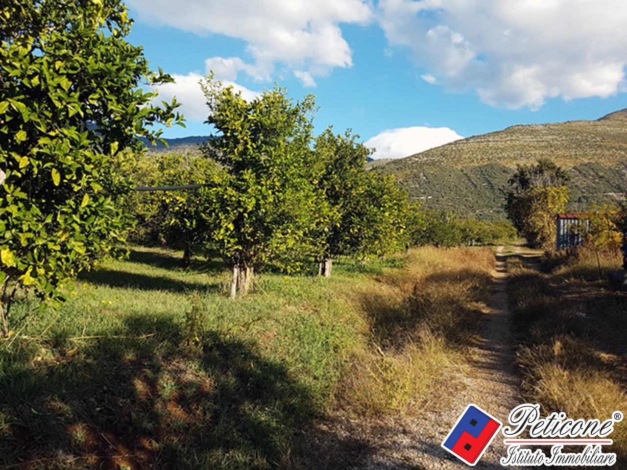 Terreno agricolo in vendita a Fondi, Madonna Degli Angeli