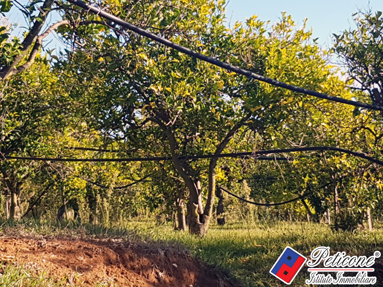 Terreno agricolo in vendita a Fondi, Madonna Degli Angeli