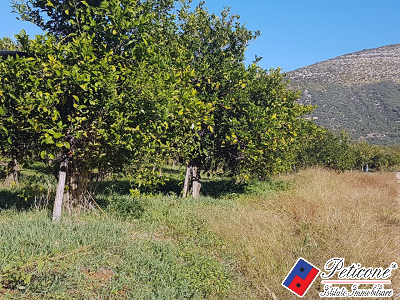 Terreno agricolo in vendita a Fondi, Madonna Degli Angeli