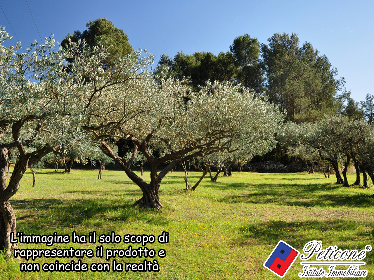 Terreno agricolo in vendita a Lenola, Valle San Bernardo