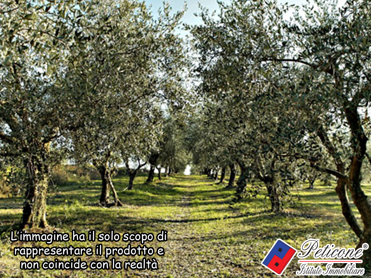 Terreno agricolo in vendita a Lenola, Valle San Bernardo